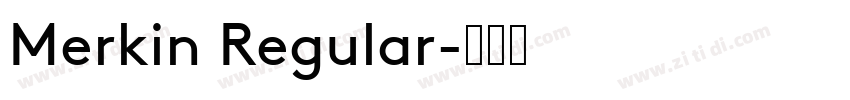 Merkin Regular字体转换